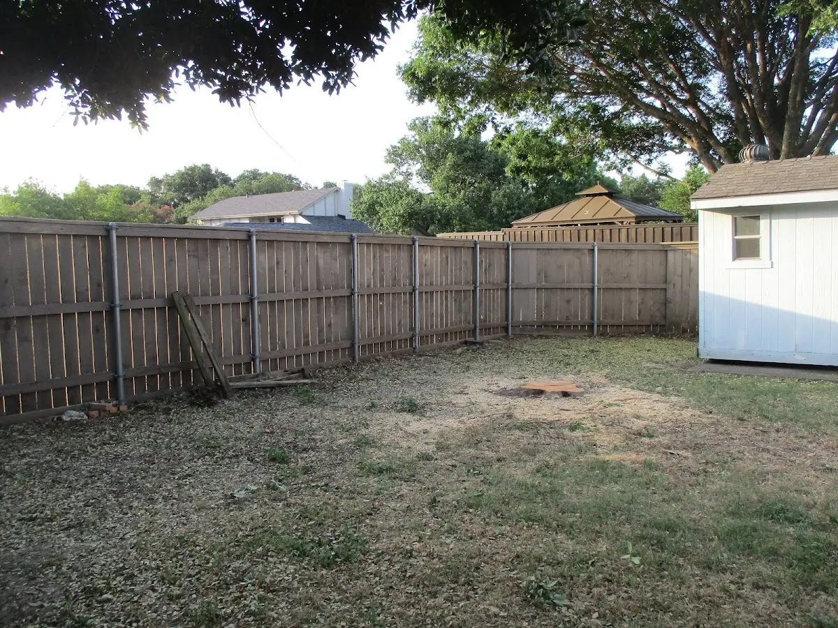 Cleared yard after professional tree removal in Shell Lake